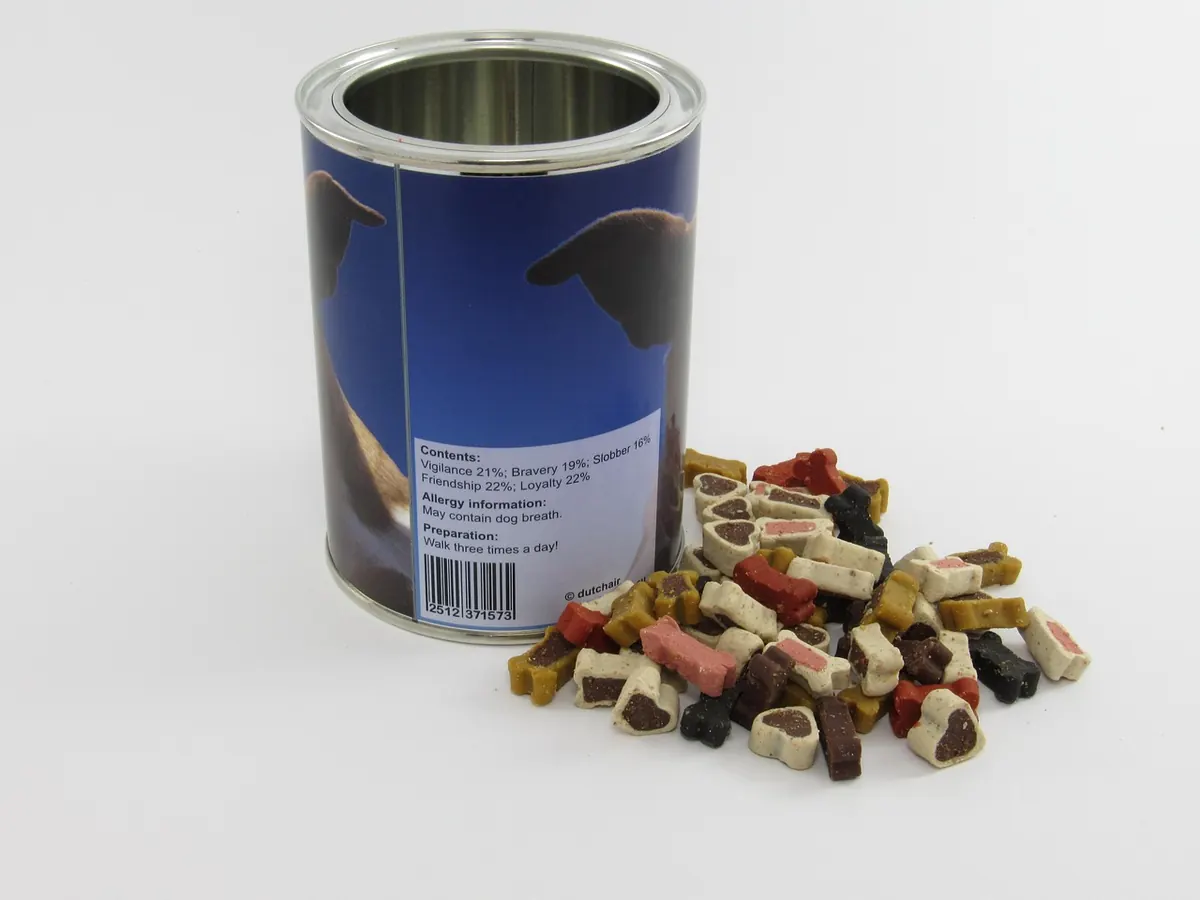 Pet Food Storage Mistakes That Make Kibble Go Stale (and How to Fix Them)